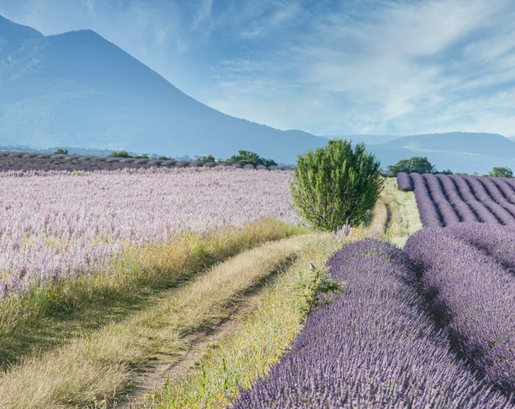 Wat Te Doen In De Provence